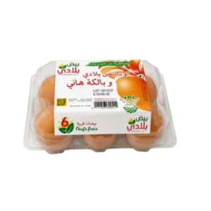 06 œufs frais